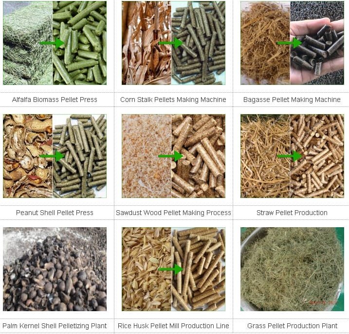 Variables Influencing The Revenue Of Biomass Pellets