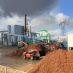 biomass pellet project cost