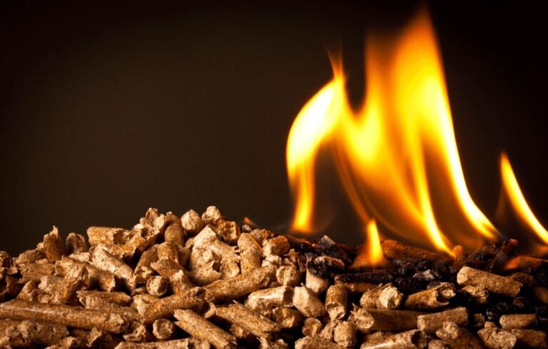 Choosing the Right Wood Pellet Making Machine Components for Different Raw Materials