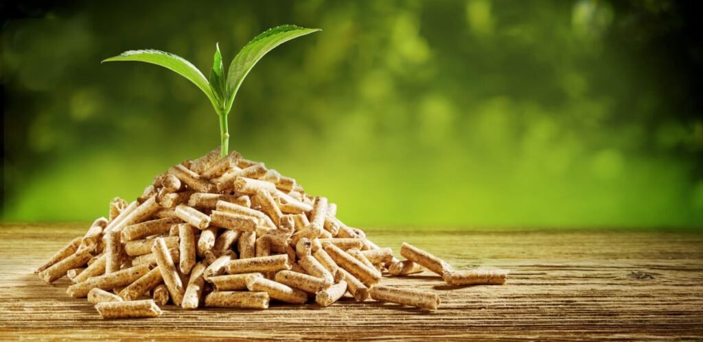 Wood Pellet