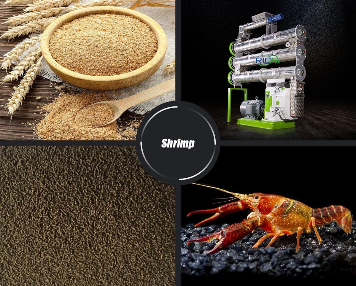 shrimp feed pellet machine