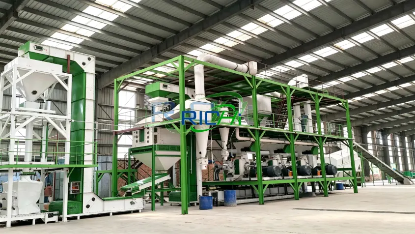 20T/H large biomass chipping and pellet plant for peanut shell raw material processing