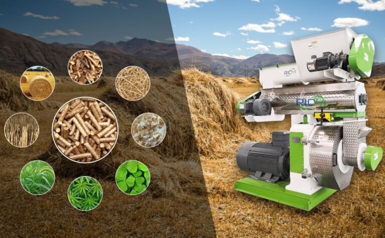 Pellet mill for wood processing